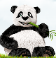 熊猫压缩 TinyPNG